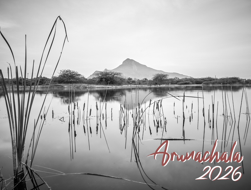 Arunachala-Desk-Calendar-2026
