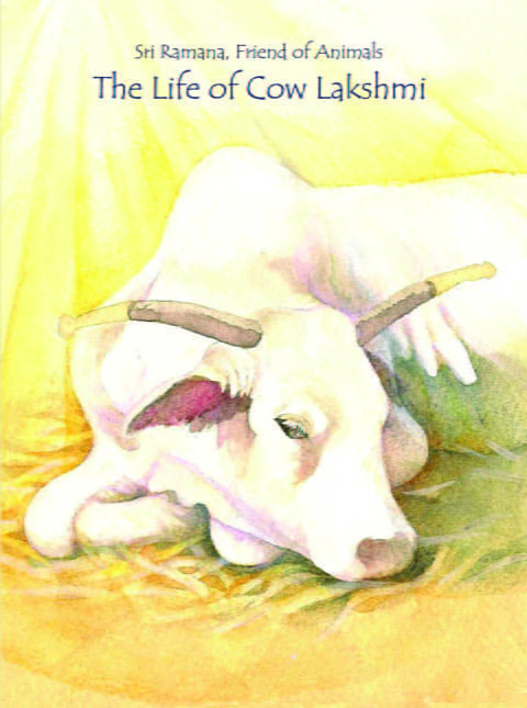 LifeofLakshmitheCow